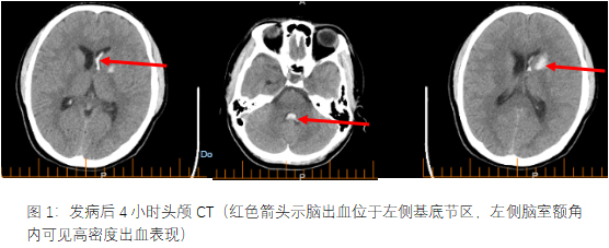 未标题-1.jpg
