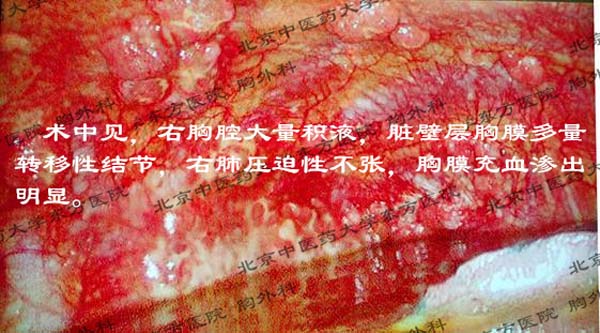 图片28.jpg