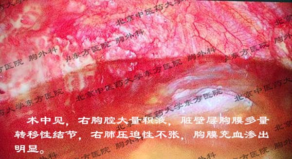 图片29.jpg