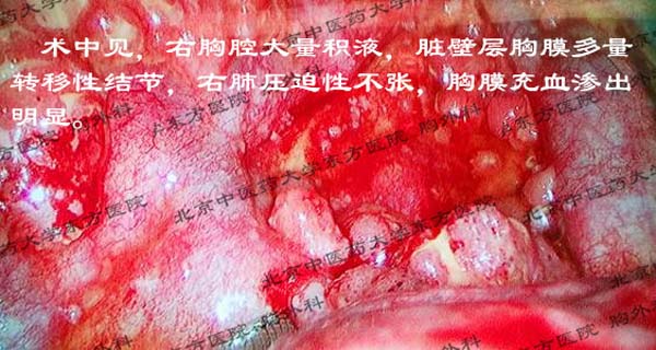 图片31.jpg