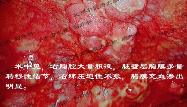 图片32.jpg
