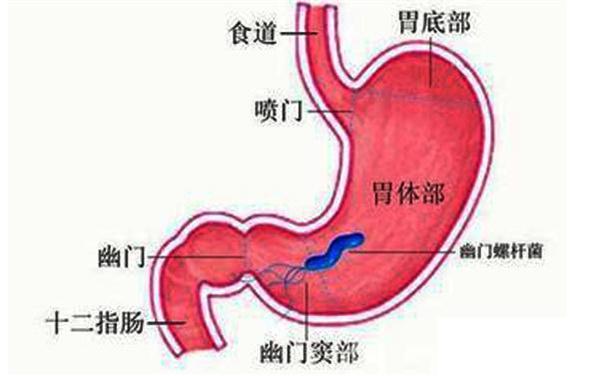 图片 1.jpg