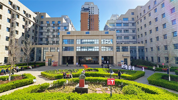 20250620金银花广场.jpg